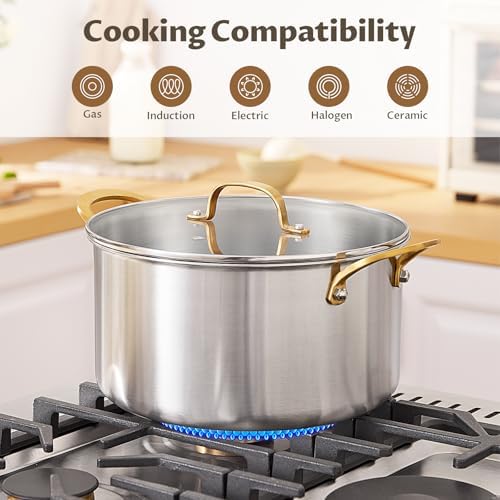 BEZIA 10 QT Stock Pot with Lid, Full Clad Tri-Ply Stainless Steel Soup Pot - Image 7