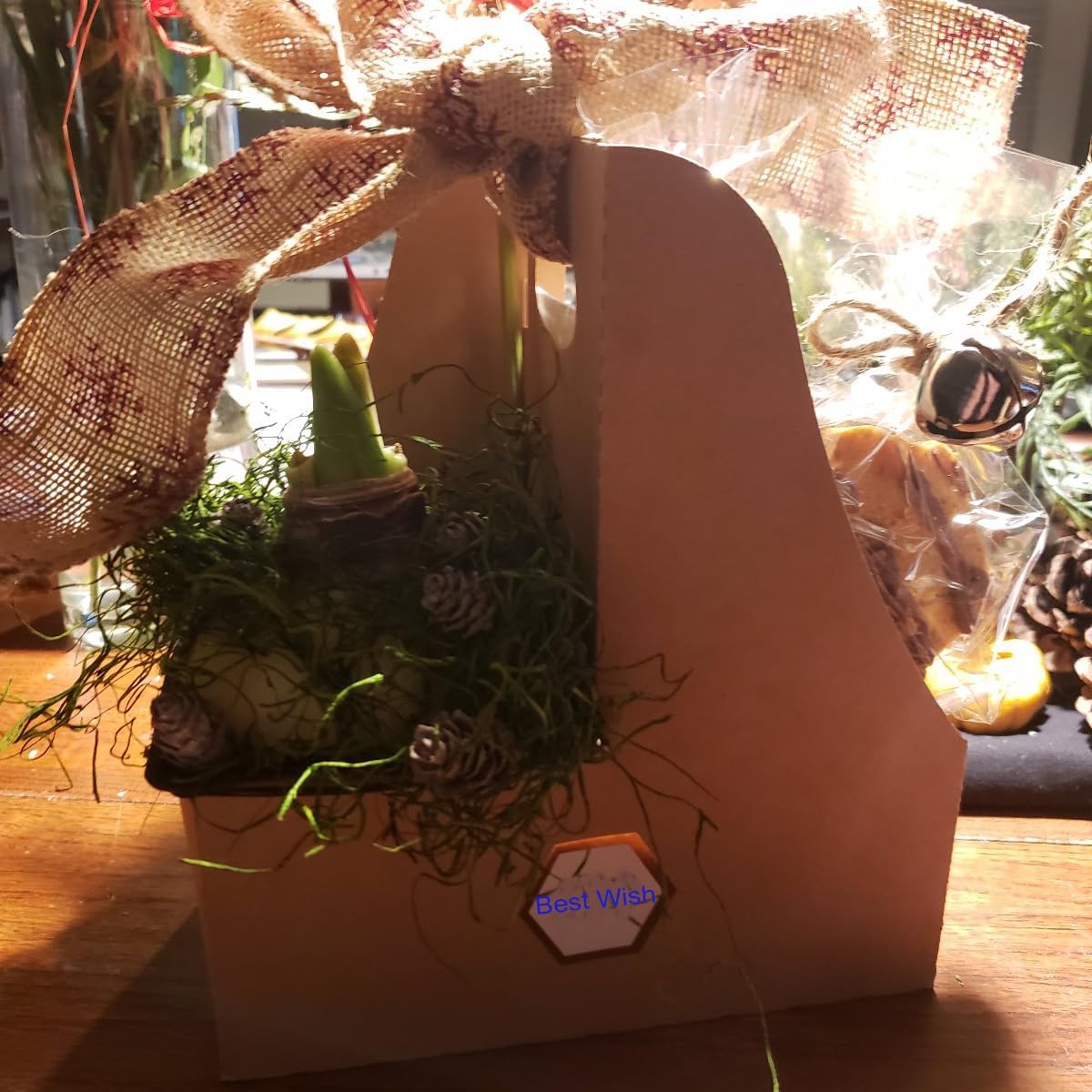 2-Cup Drink Carrier with Handle Kraft Paperboard Handled Coffee Cup Holder Take Out Cup Cup Carriers 20 Count