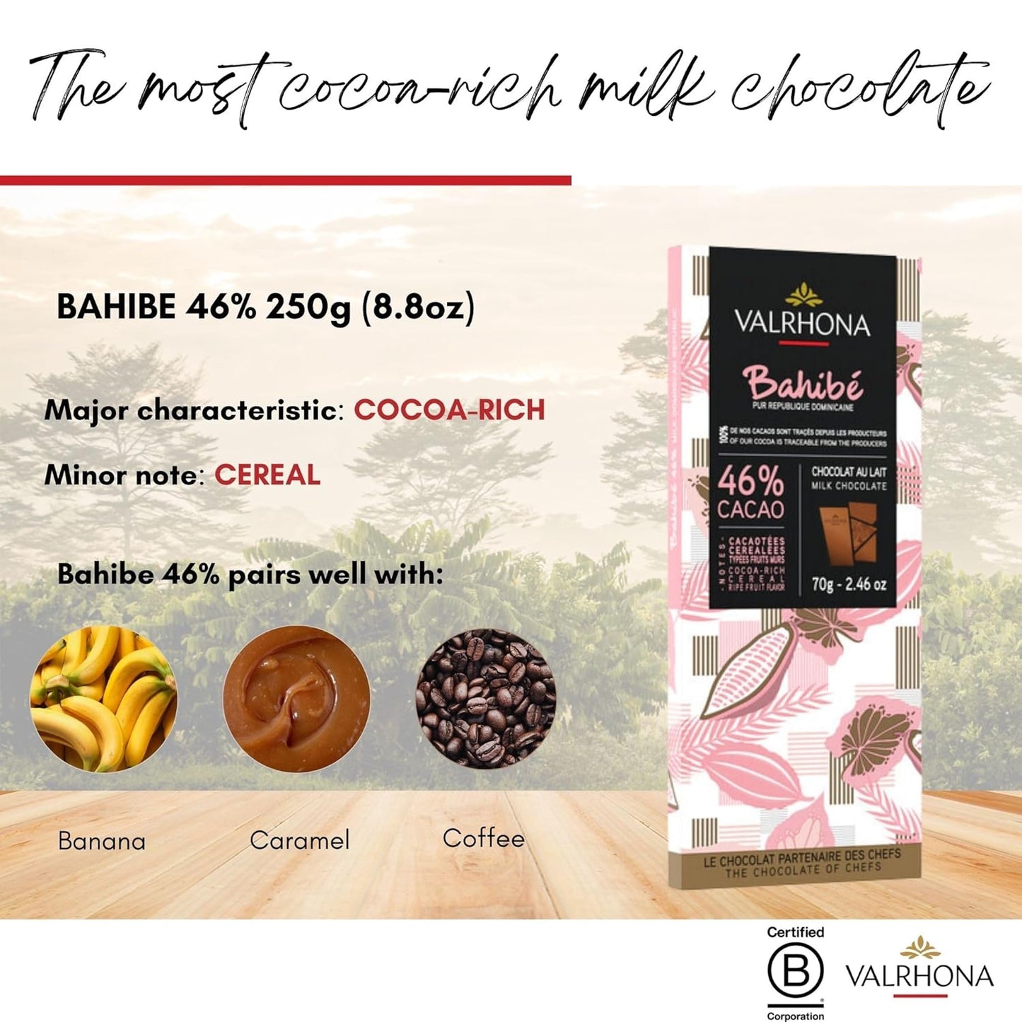 Valrhona Tasting Bar Gift Set ASSORTMENT. 6 Exquisite Tasting Bars - Perfect For Your Chocolate Obsessed Loved One. Grand Cru Bars from Dark to Light & In Between. Great for Baking! 70g (Pack of 6)