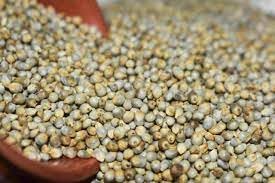 Yamkay Pearl Millet Flour (Bajra Atta) - Naturally Gluten-Free Bajra Flour & Kambu Flour, High-Fiber, Nutritious Grain for Healthy Cooking & Baking (300 GM)