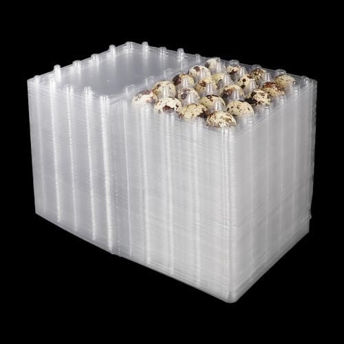 150 Pack Quail Egg Cartons, Clear Plastic Quail Egg Trays, Holds up to 20 Quail Eggs Securely - Your Ultimate Small Eggs Carton Holders for Bulk Storage and Display by KUKLIPJIM