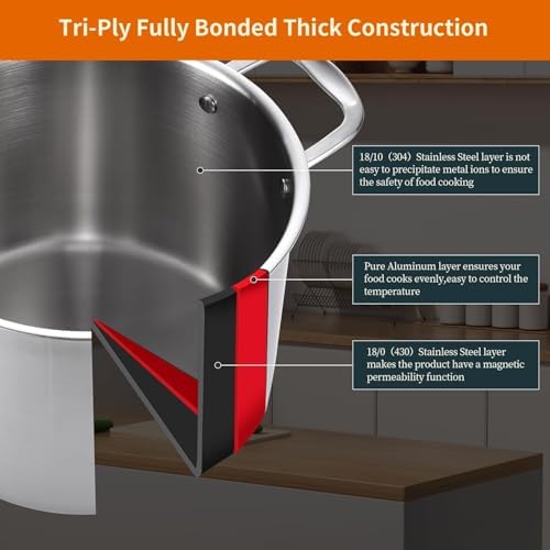 DELARLO Tri-ply Stainless Steel 12 Quart Heavy Duty Induction Stock Pot - Image 3