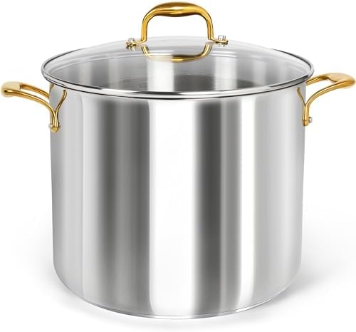 MICHELANGELO Stainless Steel Stock Pot - 20 Quart Soup Pot with Lid & Ergonomic Handle, Extra-Large Pots for Cooking, Suitable for All Stoves by Michelangelo