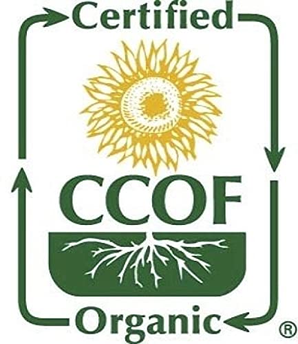 McCabe Organic White Quinoa Flour - Quinoa Flour Organic | Rich with Fiber & Minerals | USDA and CCOF Certified | Packed in USA | 2Lbs (Pack of 2)