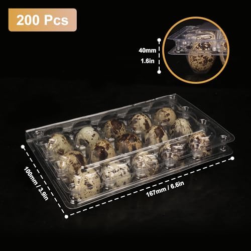 200 Pack Quail Egg Cartons, Clear Plastic Quail Egg Trays, Holds up to 15 Quail Eggs Securely - Your Ultimate Small Eggs Carton Holders for Bulk Storage and Display - Image 2