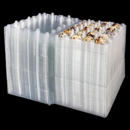 120 Pack Quail Egg Cartons - Clear Plastic Trays Hold 24 Eggs Securely, Ultimate Small Egg Holders for Bulk Storage and Display by KUKLIPJIM