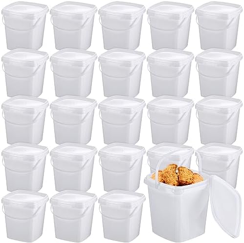Mifoci 24 Pcs 3 Qt/ 101 Oz/ 3 L Plastic Food Containers, 0.74 Gallon Ice Cream Buckets with Lids and Handle Reusable Square Deli Containers Freezer and Microwave Safe for Kitchen Food Drinks Storage by Mifoci