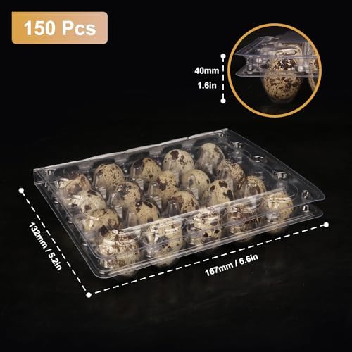150 Pack Quail Egg Cartons, Clear Plastic Quail Egg Trays, Holds up to 20 Quail Eggs Securely - Your Ultimate Small Eggs Carton Holders for Bulk Storage and Display - Image 2