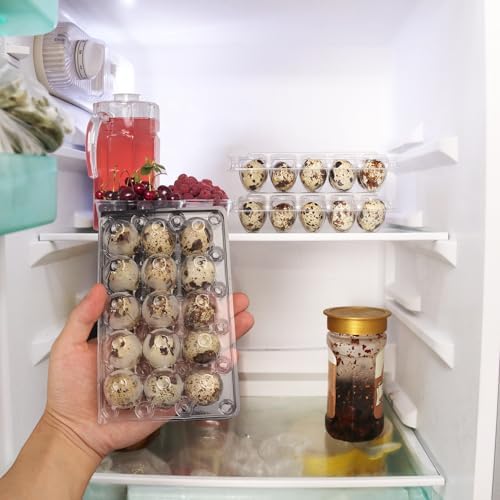 200 Pack Quail Egg Cartons, Clear Plastic Quail Egg Trays, Holds up to 15 Quail Eggs Securely - Your Ultimate Small Eggs Carton Holders for Bulk Storage and Display - Image 6