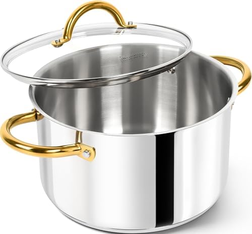 MICHELANGELO Stainless Steel Pots - 6 Qt Induction Pot with Lid, 18/10 Stainless Steel Stock Pot, Non Toxic Cooking Pot, Oven & Dishwasher Safe by Michelangelo