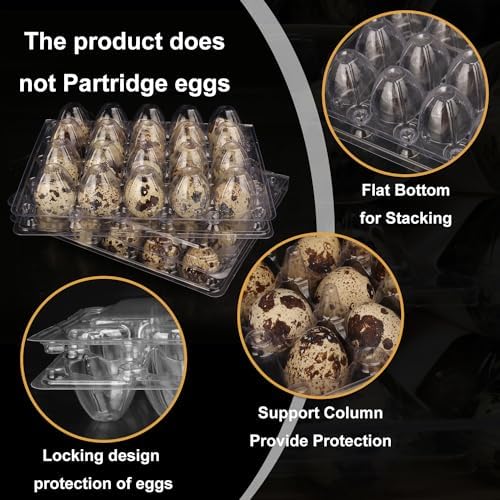 150 Pack Quail Egg Cartons, Clear Plastic Quail Egg Trays, Holds up to 20 Quail Eggs Securely - Your Ultimate Small Eggs Carton Holders for Bulk Storage and Display - Image 3