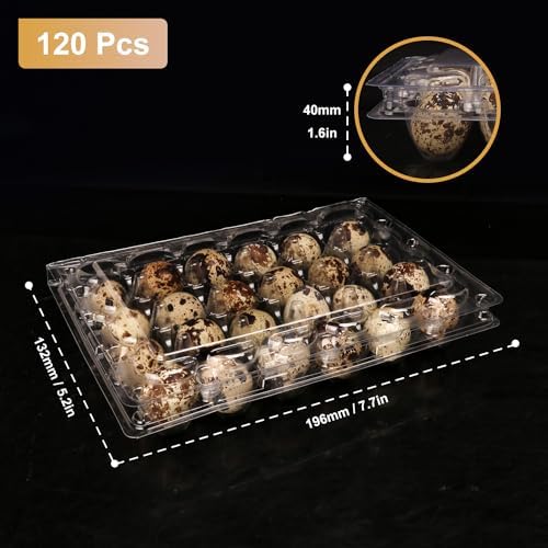 120 Pack Quail Egg Cartons - Clear Plastic Trays Hold 24 Eggs Securely, Ultimate Small Egg Holders for Bulk Storage and Display - Image 2