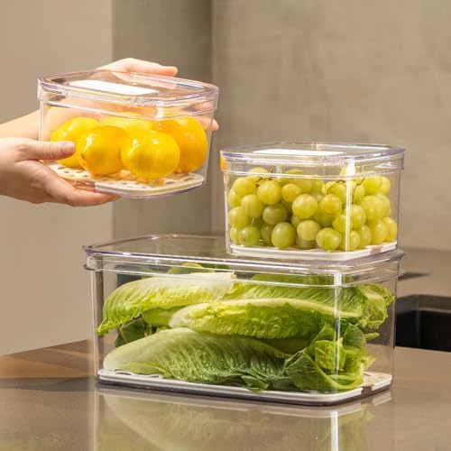 Felli Duo Fresh Veggie Keeper for Fridge with Vent & Drain Trays, LARGE Fruit Vegetable Storage Container for LONG Produce Veggie, Cabbage Celery Lettuce Asparagus Zucchini Saver for Refrigerator - Image 2