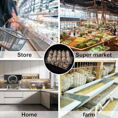 150 Pack Quail Egg Cartons, Clear Plastic Quail Egg Trays, Holds up to 20 Quail Eggs Securely - Your Ultimate Small Eggs Carton Holders for Bulk Storage and Display - Image 7