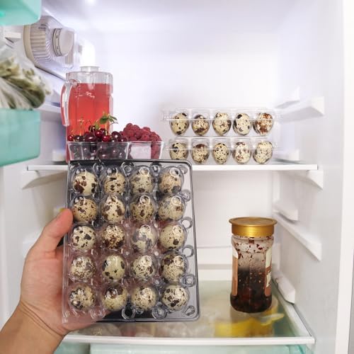 150 Pack Quail Egg Cartons, Clear Plastic Quail Egg Trays, Holds up to 20 Quail Eggs Securely - Your Ultimate Small Eggs Carton Holders for Bulk Storage and Display - Image 6