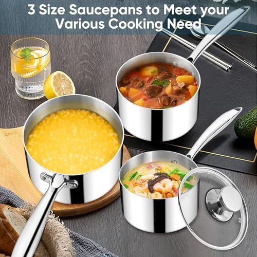Homikit Stainless Steel Saucepan Set, 1Qt & 2Qt & 3Qt Sauce Pan with Lids 6pcs, Tri-Ply Bottom Induction Compatible Small Cooking Pot kitchen Cookware Set, Dishwasher Safe & Nonstick - Image 6