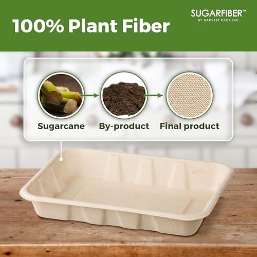 22 oz Compostable Disposable Paper Food Trays with Lids Natural, 100 SET - Image 3