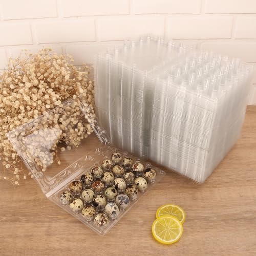 120 Pack Quail Egg Cartons - Clear Plastic Trays Hold 24 Eggs Securely, Ultimate Small Egg Holders for Bulk Storage and Display - Image 5