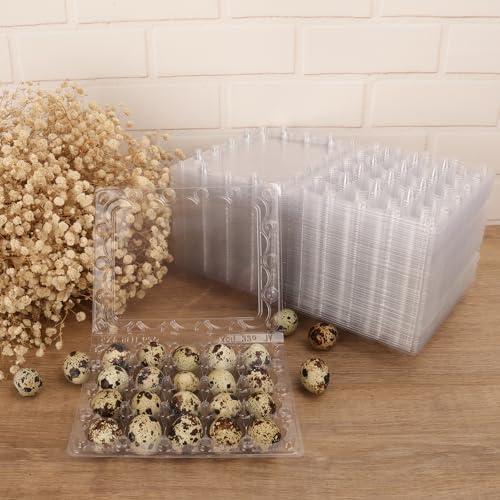 150 Pack Quail Egg Cartons, Clear Plastic Quail Egg Trays, Holds up to 20 Quail Eggs Securely - Your Ultimate Small Eggs Carton Holders for Bulk Storage and Display - Image 5