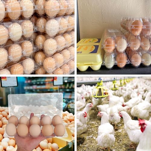 98 Pack Bulk Egg Cartons, Clear Plastic Chicken Egg Holders, Egg Tray Carton Holder for Home & Kitchen, Farm & Market Use, An Eco-Friendly Egg Storage Solution, 10 Grids(Medium Size) - Image 7