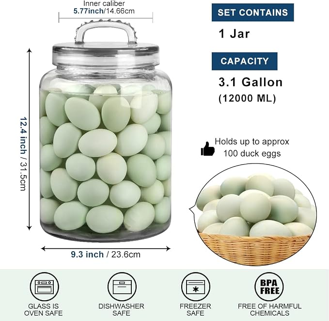 3 Gallon Glass Jar with Airtight Lid, Wide Mouth Large Glass Container | 5.7" Wide Mouth, Glass Canister, Easy-Grip Lid, Heavy Duty Glass, Cookie Jar, Pantry Storage for Flour, Sugar, Dog Treats - Image 7
