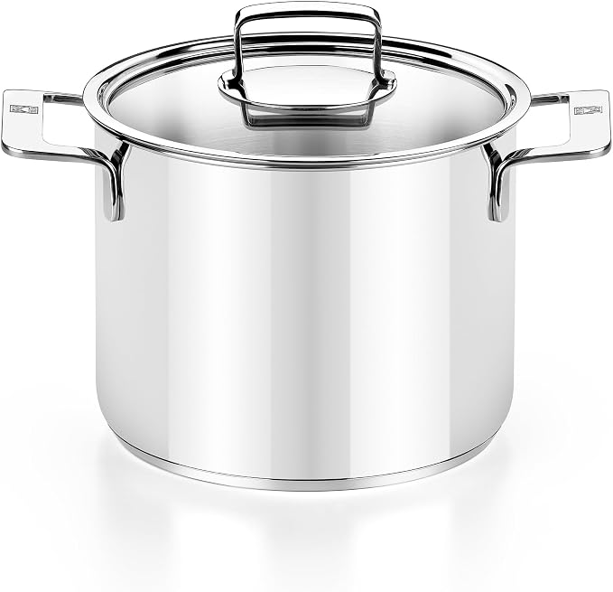 BRA COOKWARE Signature Stainless Steel Stock Pot w/Lid | 9.5 Inches 9 Qt by BRACookware