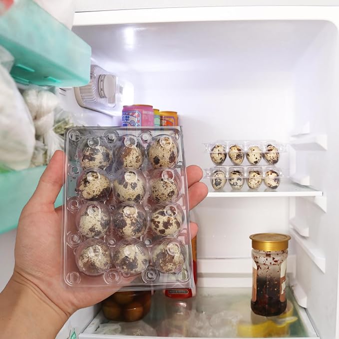 200 Pack Quail Egg Cartons, Clear Plastic Quail Egg Trays, Holds up to 12 Quail Eggs Securely - Your Ultimate Small Eggs Carton Holders for Bulk Storage and Display - Image 6