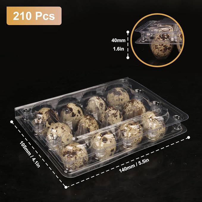200 Pack Quail Egg Cartons, Clear Plastic Quail Egg Trays, Holds up to 12 Quail Eggs Securely - Your Ultimate Small Eggs Carton Holders for Bulk Storage and Display - Image 2