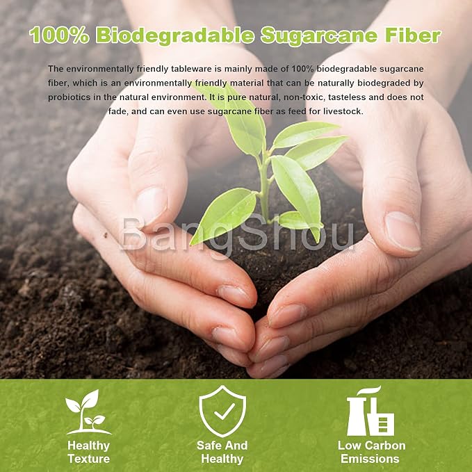 10 Pack Compostable Paper Plates, 14 Inch Heavy-Duty Bagasse Trays | Microwave & Freezer Safe, Biodegradable, Water & Oil-Resistant, Disposable Paper Plates for Birthday Weddings Parties BBQ - Image 7