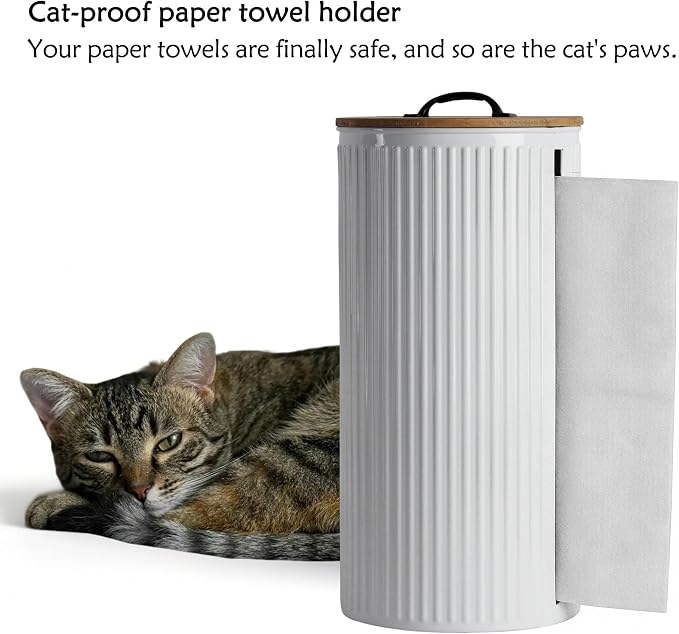 Metal Paper Towel Holder, Weighted Base with Suction Cups - Image 4