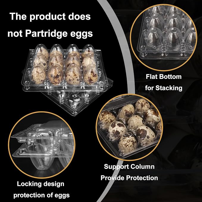 200 Pack Quail Egg Cartons, Clear Plastic Quail Egg Trays, Holds up to 12 Quail Eggs Securely - Your Ultimate Small Eggs Carton Holders for Bulk Storage and Display - Image 3