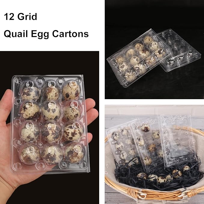 200 Pack Quail Egg Cartons, Clear Plastic Quail Egg Trays, Holds up to 12 Quail Eggs Securely - Your Ultimate Small Eggs Carton Holders for Bulk Storage and Display - Image 4
