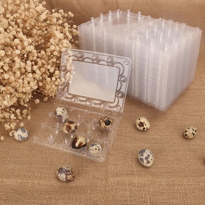 200 Pack Quail Egg Cartons, Clear Plastic Quail Egg Trays, Holds up to 12 Quail Eggs Securely - Your Ultimate Small Eggs Carton Holders for Bulk Storage and Display - Image 5