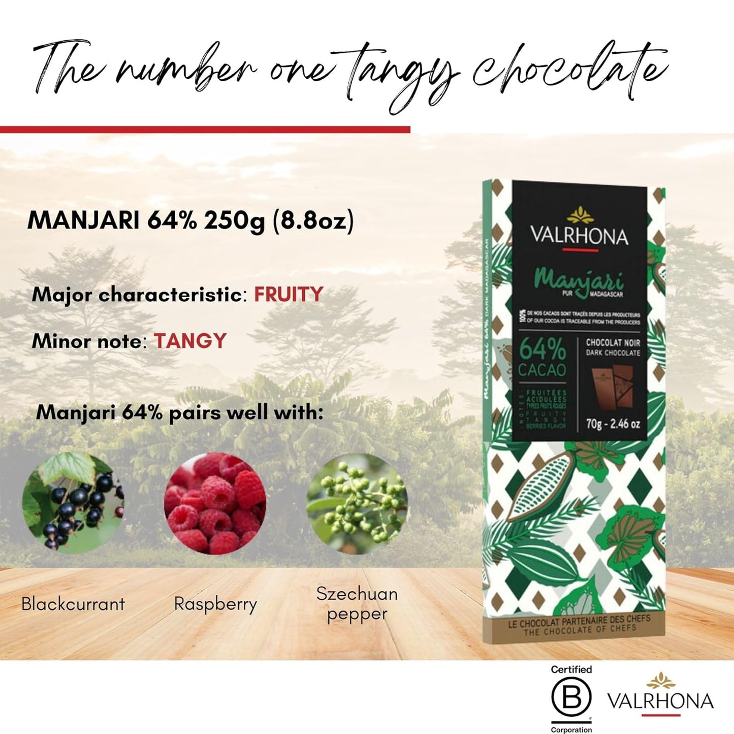 Valrhona Tasting Bar Gift Set ASSORTMENT. 6 Exquisite Tasting Bars - Perfect For Your Chocolate Obsessed Loved One. Grand Cru Bars from Dark to Light & In Between. Great for Baking! 70g (Pack of 6)