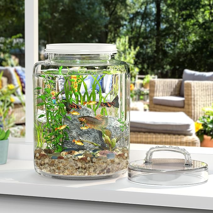 3 Gallon Glass Jar with Airtight Lid, Wide Mouth Large Glass Container | 5.7" Wide Mouth, Glass Canister, Easy-Grip Lid, Heavy Duty Glass, Cookie Jar, Pantry Storage for Flour, Sugar, Dog Treats - Image 3
