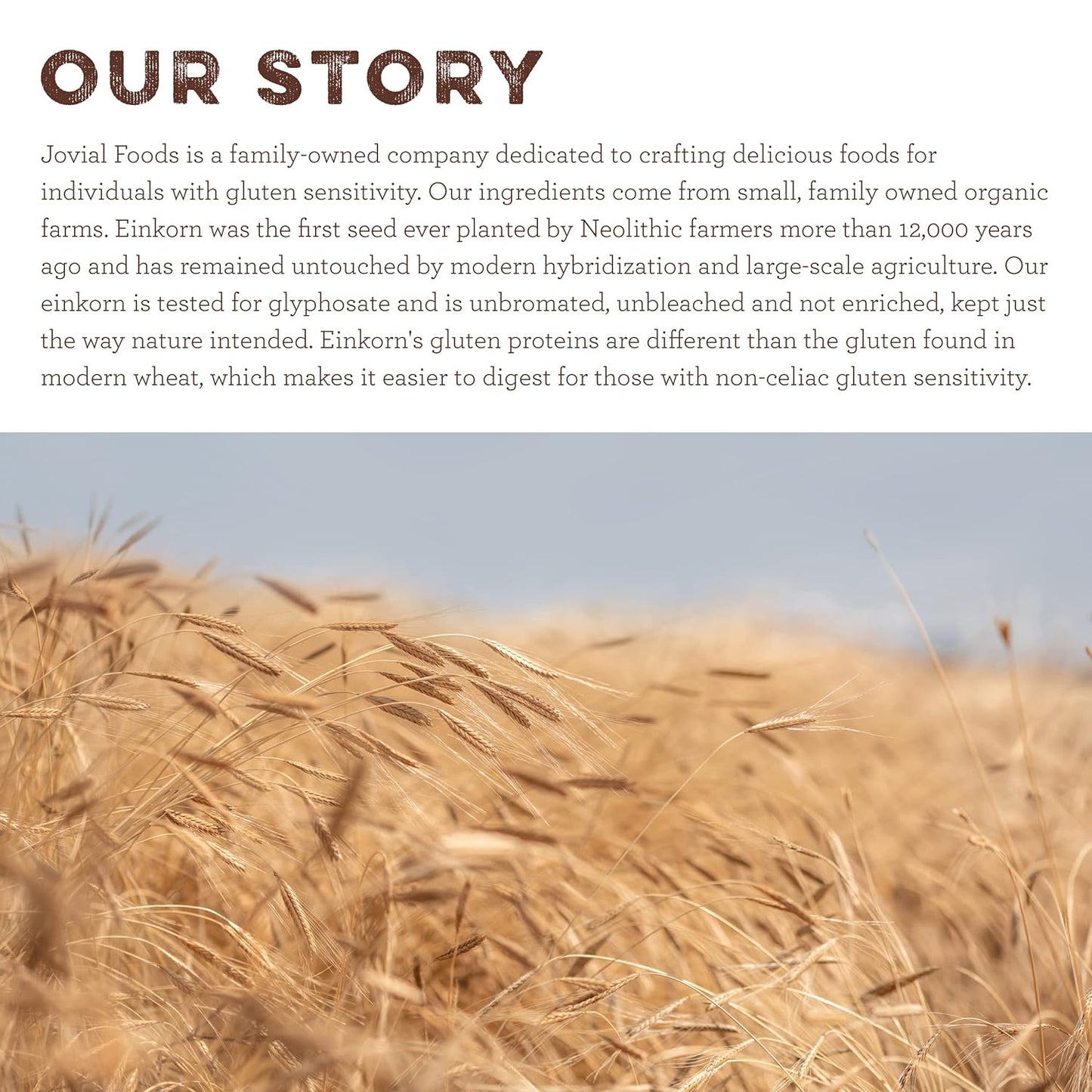 Jovial Organic Einkorn Unbleached All Purpose Flour - Bread Baking Flour for Sourdough, High Protein, Non-GMO, Organic Pizza & Pasta, European Italian, Glyphosate Free - 32 Oz