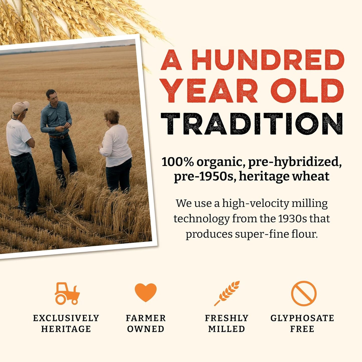 Sunrise Flour Mill Organic Heritage Whole Wheat Flour - 2 lbs | Easier to Digest with Less Bloating | No Bleaching or Bromating | Zero Additives