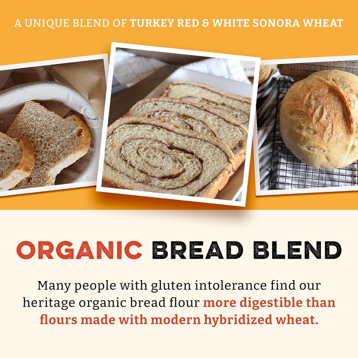 Sunrise Flour Mill Heritage Organic Bread Flour Blend - 25 lbs | Organic Unbleached Bread Flour Easy to Digest with Less Bloating | High Protein, Superior Baking | Smooth, Nutty Flavor