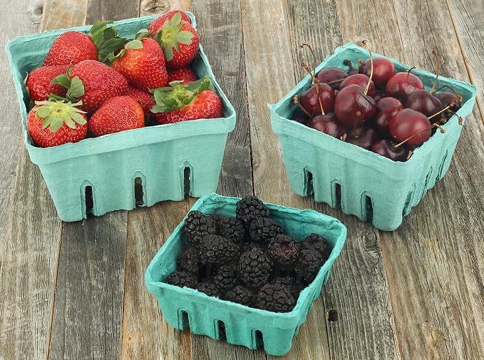 MT Products Green Berry Basket 1 Quart - Molded Pulp Fiber Vented Produce Basket (Pack of 15) - Made in the USA - Image 8